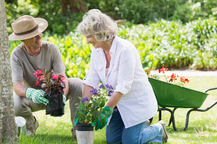 Lifestyle Changes to Prevent Alzheimer's